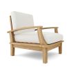 Brianna DS Armchair including Cushion