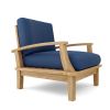 Brianna DS Armchair including Cushion
